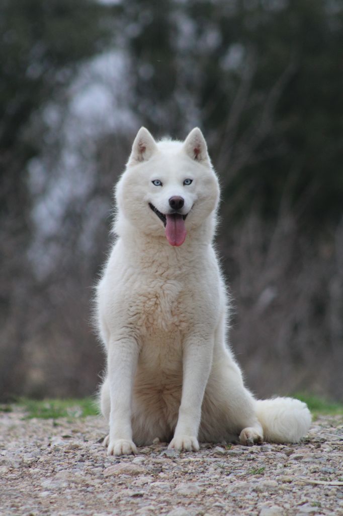 Maggie helen dogstyle
