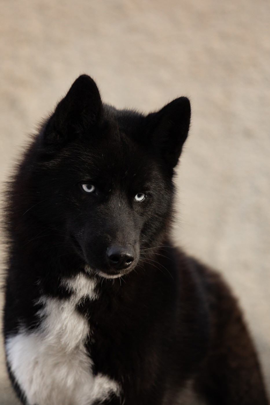 eskifavorite Noch' temna xena