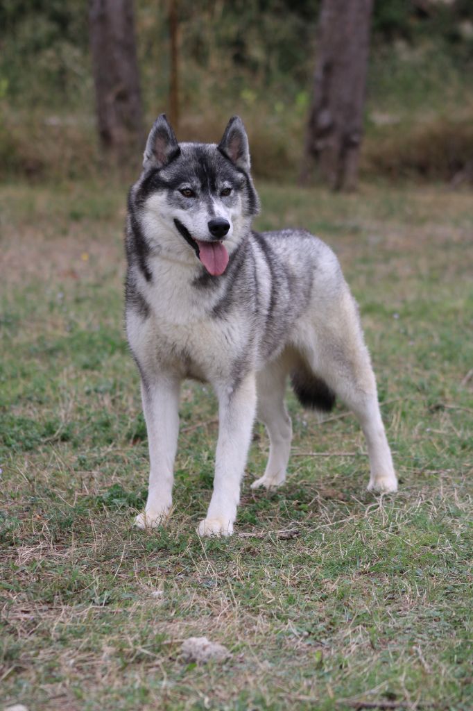 Miss divine universe (Sans Affixe)