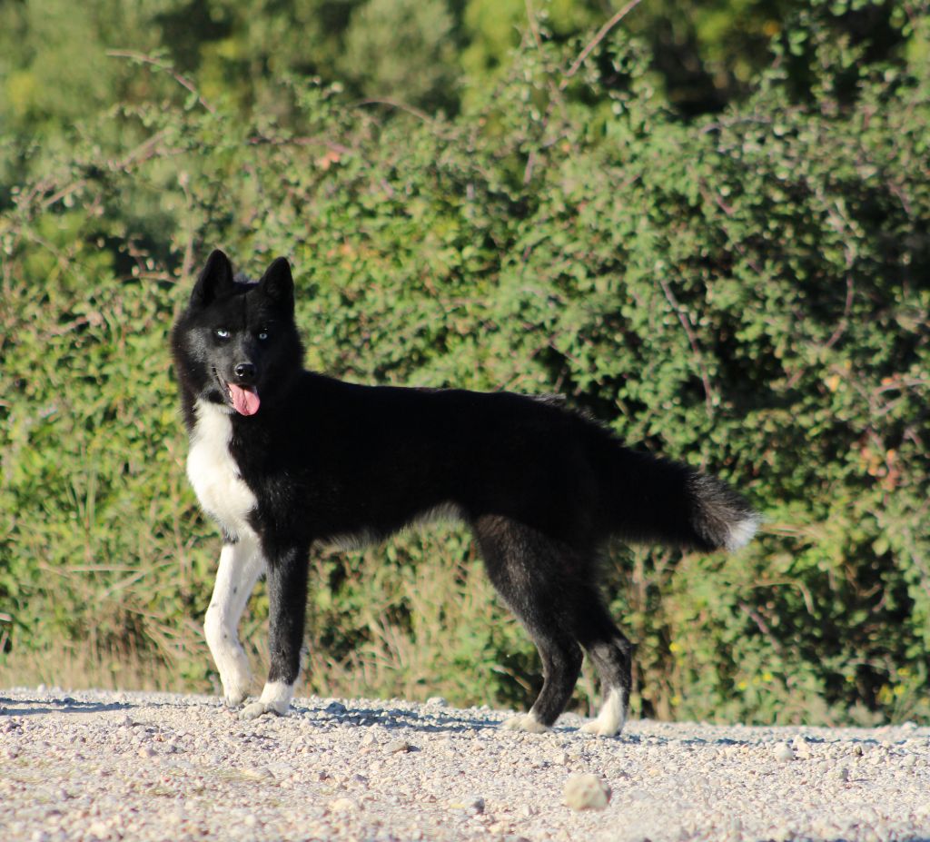 eskifavorite Noch' temna xena